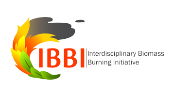 IBBI Logo